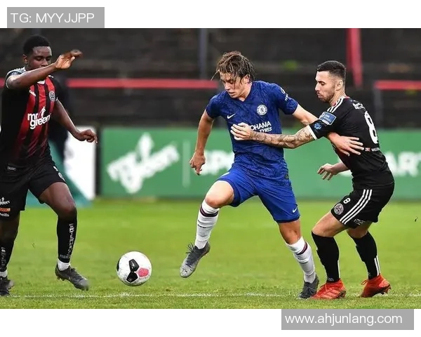 黑山共和国足球队球星风采：从新星崛起到世界舞台的闪耀之路